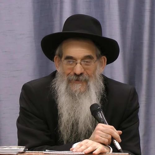 Couverture de Sotah - Rabbi Berel Bell