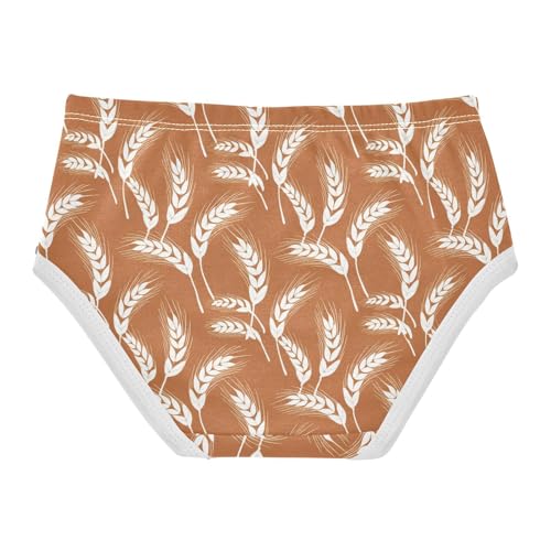 Wheat Brown Toddler Girls's Underwear 2T 23029162