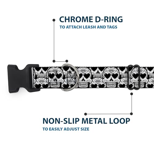 Collier tête de mort Buckle-Down avec boucle en plastique robuste