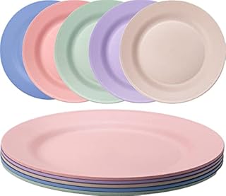 Orrdiffi 10'' Dinner Plates set of 5 Reusable Plastic Plates Dishwasher & Microwave Safe ,Lightweight & Unbreakable Camping Plate,Salad Plates, Dessert Plates BPA Free and Healthy for Adult Kids(25cm)
