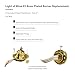 Light of Mine – #2 Brass Plated Burners with Removable Reduction Ring for Antique Hurricane Lamps (NO2, 1 pk)
