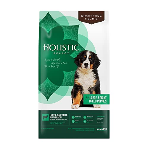 Holistic Select Natural Grain Free Dry Dog Food, Large & Giant Breed Puppy Recipe, 24-Pound Bag #TOP10