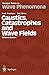 Caustics, Catastrophes and Wave Fields (Springer Series on Wave Phenomena, 15)