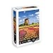 Produktbild Calypto 3907051 Tulpenfeld, 1000 Teile Puzzle mit Soft-Touch, Landschaftspuzzle mit samtiger Oberfläche, für Erwachsene und Kinder ab 9 Jahren, Holland, Mühle, Blumen