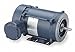 Marathon Motors 3/4 HP Hazardous Location Motor,Capacitor-Start,1725 Nameplate RPM,115/208-230 Voltage,Frame 56C