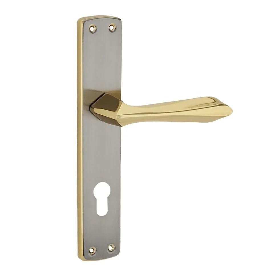 Yuksel Door Handle Pair on Backplate with Euro Cylinder Keyhole Turkish Made Multiple Designs | زوج مقابض باب يوكسل زوج مع صفيحة وفتحة اسطوانة يورو صناعة تركية (1 Gold/Metal Priizma 843-510)