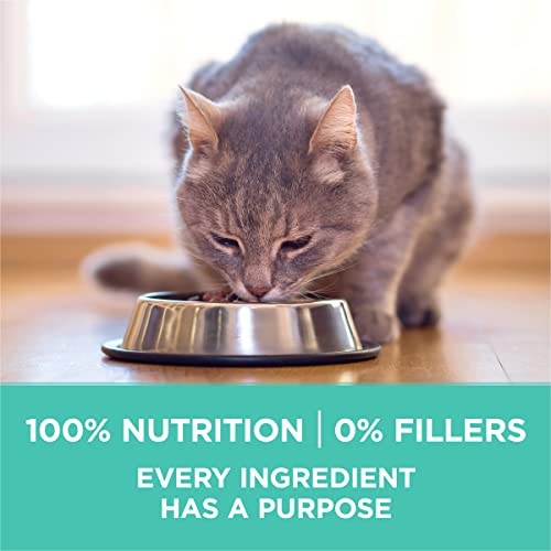 Purina ONE Sensitive Skin and Stomach Dry Cat Food 16 lb Bag - image 9