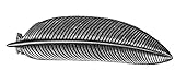 Feather Hair Clip - Medium Hand Crafted Metal Barrette Made in the USA with a 70mm Imported French Clip By Oberon Design