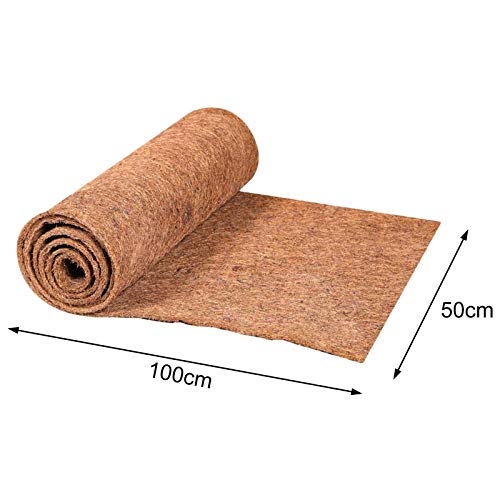 Tapis de palmier en noix de coco robuste pour aménagement extérieur - 3