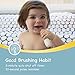 Papablic BabyHandy 2-Stage Baby Sonic Electric Toothbrush for Babies and Toddlers Ages 0-3 Years