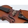 5 String 4/4 size advanced electric-acoustic violin featuring maple and spruce for a professional sound (4/4)