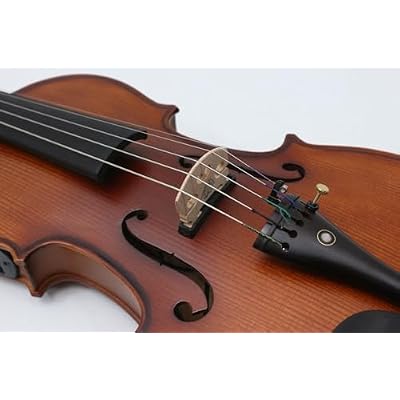 5 String 4/4 size advanced electric-acoustic violin featuring maple and spruce for a professional sound (4/4)