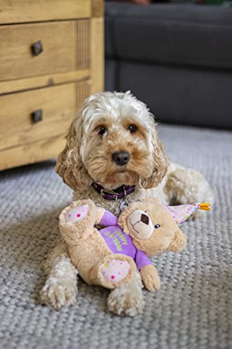 Rosewood Bonnie Geburtstagsbär - Plüsch-Hundespielzeug mit Quietscher - Weiches Kuscheltier als Hundegeschenk für Geburtstage, Adoptionstage und Festliche Momente