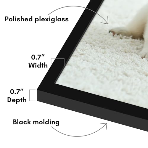 Image of Americanflat 22x22 Picture Frame with Polished Plexiglass - Streamline Collection - Thin Border Square Frame for Wall Display - Hanging Hardware Included - Black