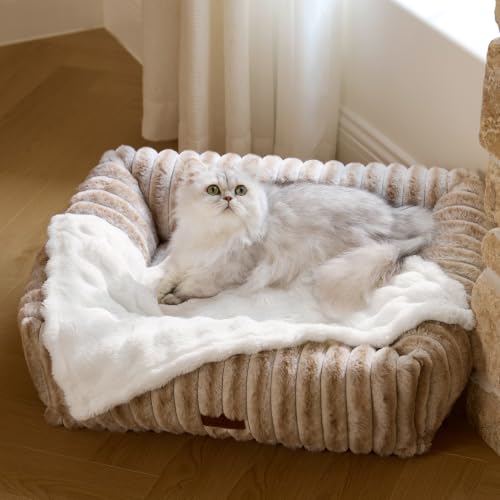 Bedsure Premium Bubble Dog Blanket for Small Dogs Puppy Cats 3 Pack 23×16" - image 9