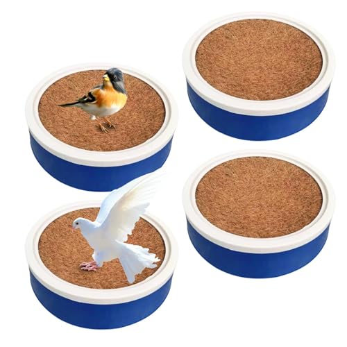 Nid d'oiseau pour pigeons voyageurs et petits oiseaux de ponte