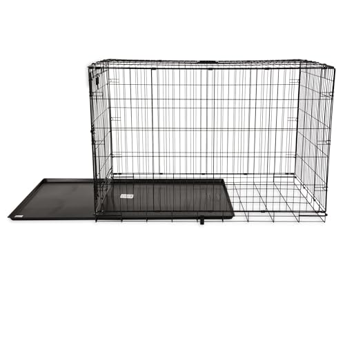 Caixa para cães Precision Pet ProValu de porta única, 122 cm L