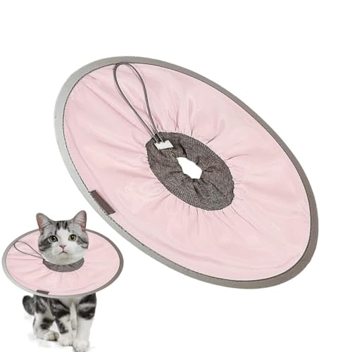 Collar protector para gatos ideal para el descanso en casa 8