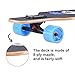 Playshion 39 Inch Drop Through Freestyle Longboard Skateboard Cruiser Coconut Tree