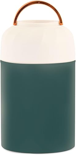 Recipiente de comida aislado para niños y mujeres gris pizarra oscura con cuchara de 17 oz16.9 fl oz para alimentos calientes, acero inoxidable,