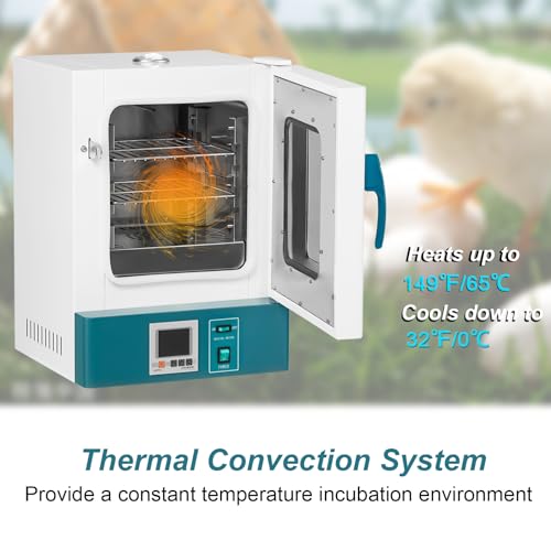 Snapklik Com 20L Lab Incubator Precise Temperature Control 0 65 Photo Inspiration