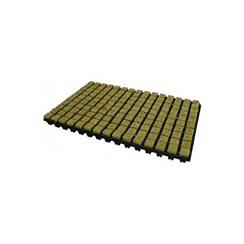 77 rockwool cubes propagation tray (2)