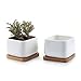 Produktbild T4U 10CM Keramik Sukkulenten Töpfe Kaktus Pflanze Töpfe klein Blumentöpfe mit untersetzer Abgerundete Quadrat Weiß 2er Set