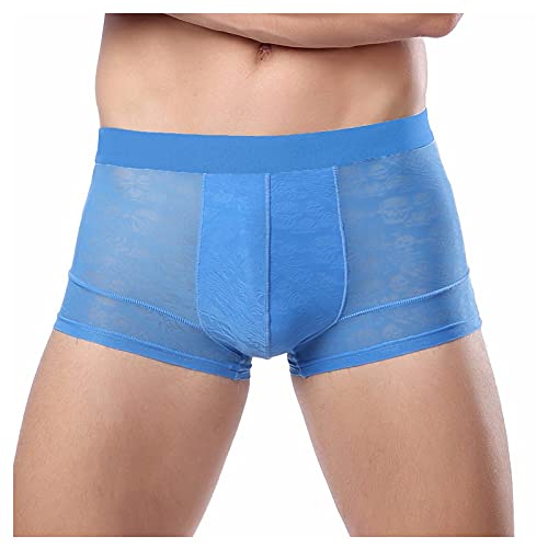 Mens Underwear Soft Breathable Modal Microfiber Trunks Covered Band Long Boxers Mid Rise Plain / Print Sky Blue XX-Large