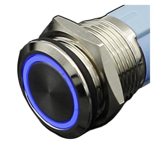 Interrupteur à bouton-poussoir 19mm LED bleue 220V à impulsion