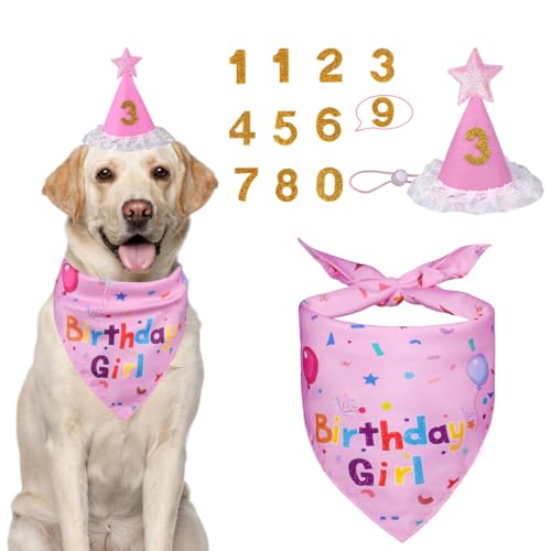 Yicostar Dog Birthday Decorations Dog Birthday Hat with Numbers for Large Medium Small Pet Supplies (Pink)