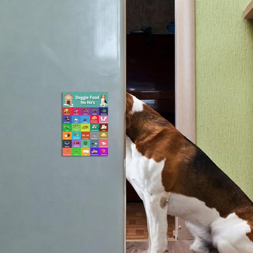 Sichere Hundediät – Sicherheitsratgeber mit 30 Lebensmitteln, bunter Magnet-Sicherheitsliste | Fütterungstabelle für Hunde, Tabelle mit Nahrungsmitteln, die Hunde nicht essen sollten, Bilder von Gesun