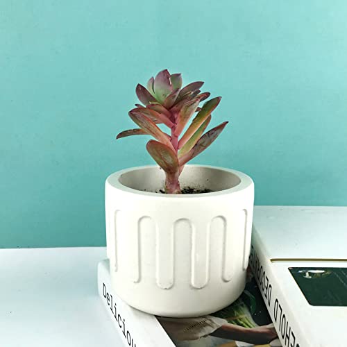 Round Concrete Flower Pot Silicone Mold Succulent Planter Vase Cactus Plaster Mold Candle Jar Epoxy Resin Storage Box Cement Clay Mould #TOP5
