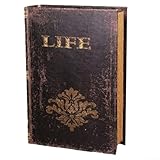 Honseadek Libros decorativos vintage con compartimento de almacenamiento,...