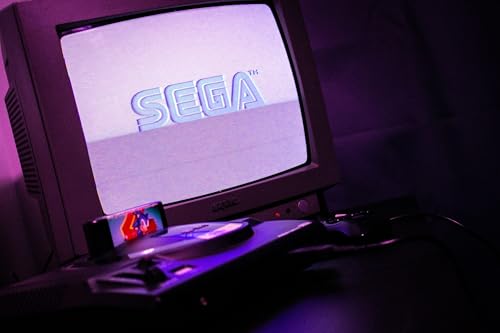 Sonic the Hedgehog - Eine Videospielkritik