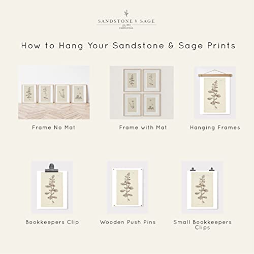 Wall Art Botanical Plant Prints | Vintage Flower Boho Minimalist Floral Artwork Decor For Bedroom, Living Room, Bathroom, Home Or Office Walls | Set Of 4 Unframed Pictures (8 X 10) #TOP5