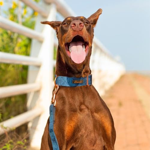 ARING PET Hondenhalsband en riem set, fluwelen hondenhalsband en riem, zachte hondenhalsband set voor kleine middelgrote grote honden. - Afbeelding 4
