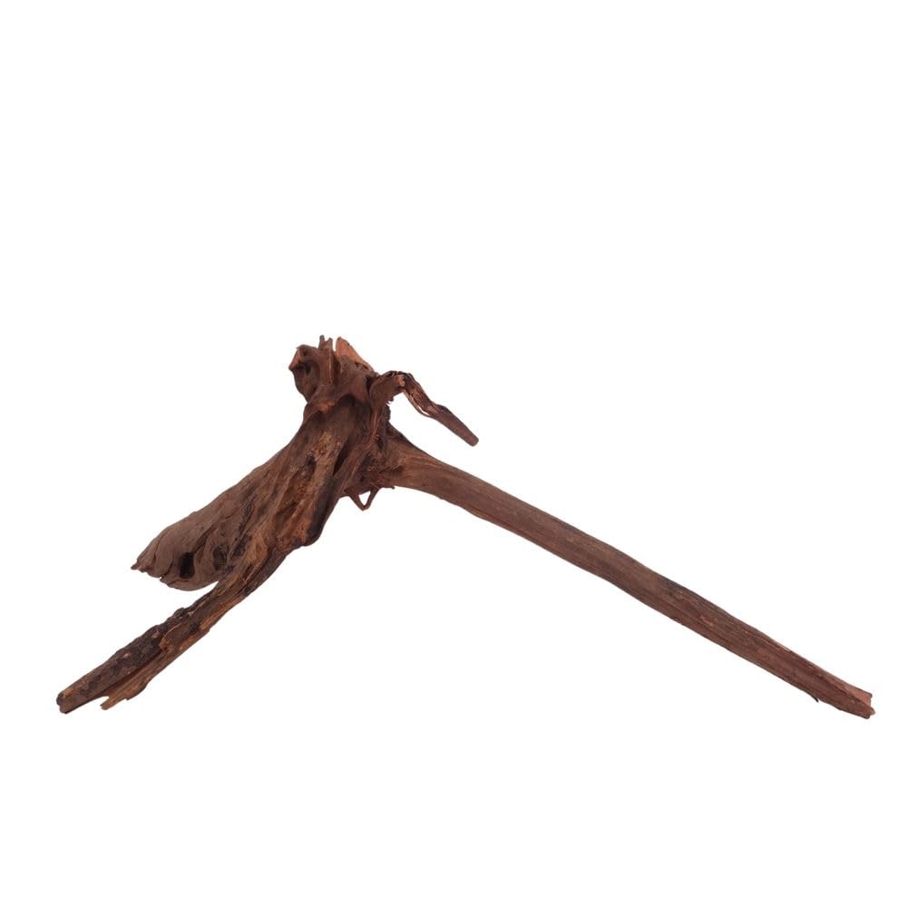 AquaOne Acuario Raíz Driftwood XL nº 3912 - Raíz de río Mangrove Madera Decorativa Paisaje Musgo Naturaleza Madera Auténtica