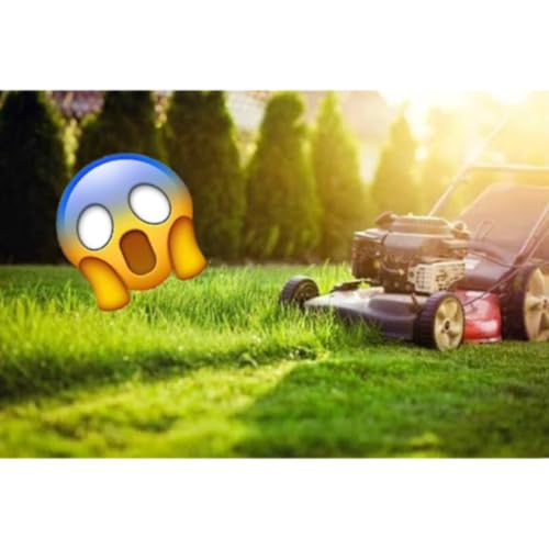 Biologie 2 : communication v&eacute;g&eacute;tale - les COV