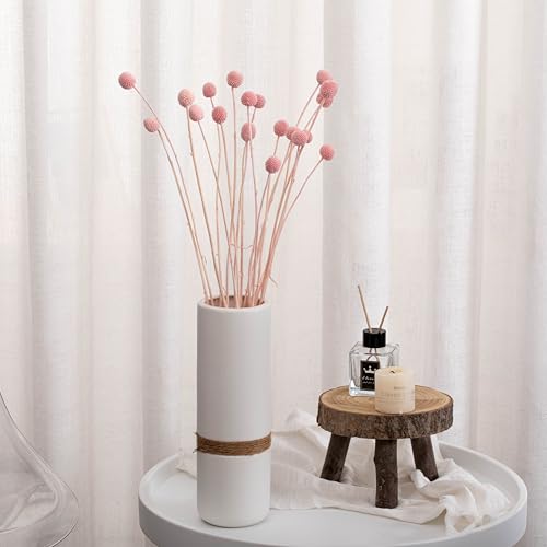 Flores Secas Billy Ball Craspedia Set 20 Piezas miniatura 2