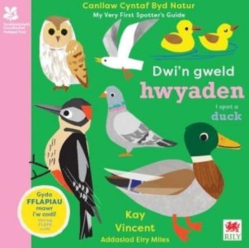 Rily Publications Ltd Book 9781804163924.