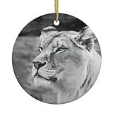 Matériau en céramique de haute qualité : fabriquées à partir de porcelaine blanche de haute qualité, ces ornements circulaires sont durables et élégants, ce qui en fait un ajout intemporel à votre décoration de vacances.