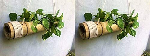 See full amazon price history chart for COIR GARDEN Hanging Planter, 2 Pieces COIR GARDEN Hanging Planter, 2 Pieces (B07VD8LFNZ) Amazon Price History, Amazon Price Tracker