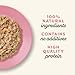 Applaws Premium Natural Katzenfutter Nass, Thunfischfilet mit pazifischer Garnele in Brühe 70g Portionsbeutel (12x70g )