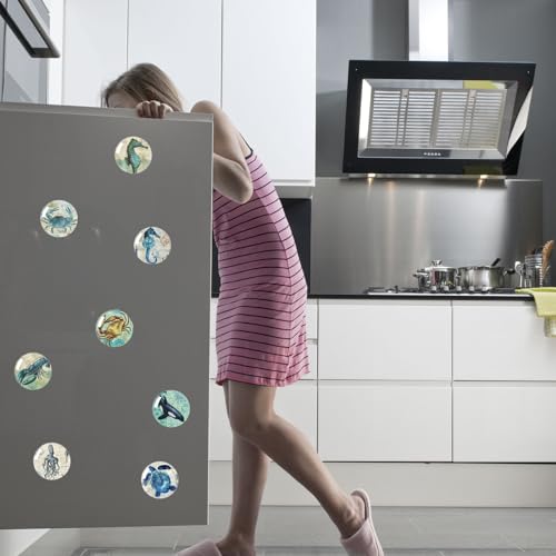 Imanes Decorativos Redondos para Refrigerador 12 Piezas miniatura 5
