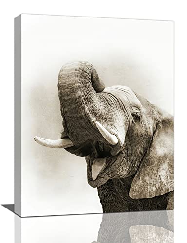 Funny Elephant Bathroom Wall Art Cute Elephant Pictures Wall Decor Black And White Canvas Prints Wild Animals Painting Framed Modern Artwork For Kitchen Dining Room Office 12"X16" #TOP4