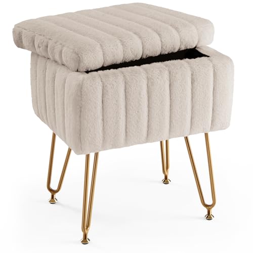 DUMOS Vanity Stool Chair, Ottoman with Storage, Makeup Cute Soft