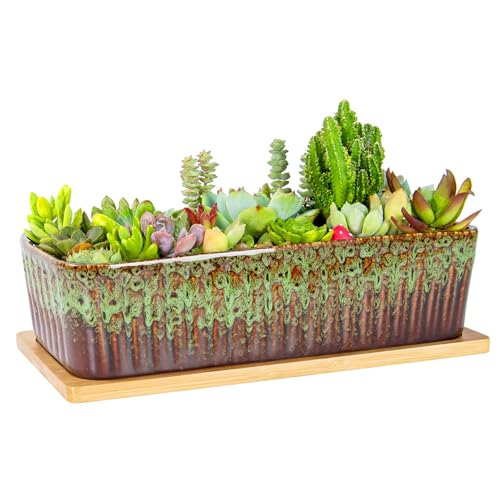 Succulent Pots - 12 Inch Large Succulent Planters with Drainage Tray, Window Sill Planter, Long Rectangle Ceramic Pots for Indoor Cactus Plants Shallow Bonsai Window Box for Home Garden Decor
