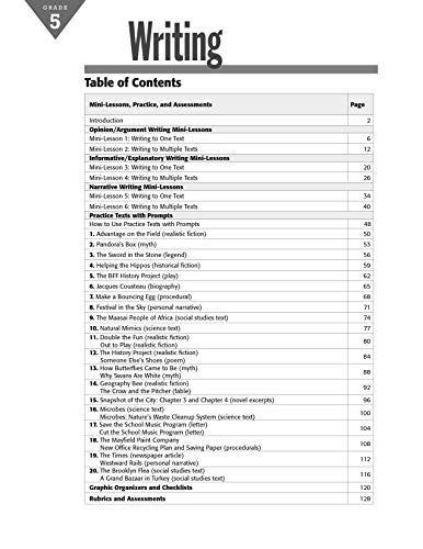 Writing Meaningful Mini-Lessons & Practice Grade 5 (Meaningful Mini-Lessons (En)) - Image 2