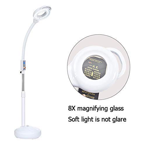 Preisvergleich Produktbild DLL Stehlampe, Hauptdekoration, Steh-Lesung LED 8X Verstärkungslampe, LED Schönheitslampe Stepless Dimmen Kaltlicht Tattoo Lampe Lupe Akne Nagelchirurgie Shadowless White-220V-24W,Weiß,220V24W
