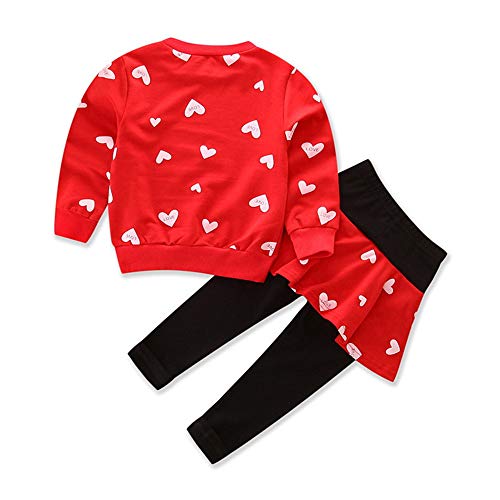 Image of Little Girl Clothes Infant Outfits Set 2 Pieces Long Sleeved Tops and Pants